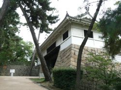 ������d�v������