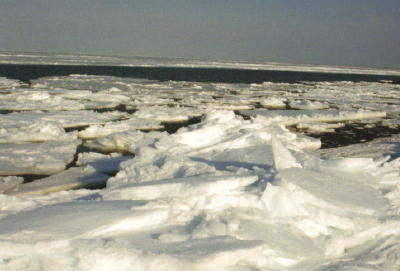 �킽�������̐��E