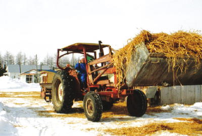 ����Ӗ��\�����i�P�Ɓj