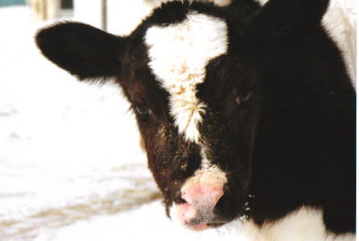 ���A����������