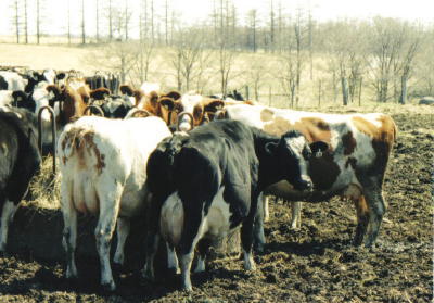 �u���񂽁A�N�H�v