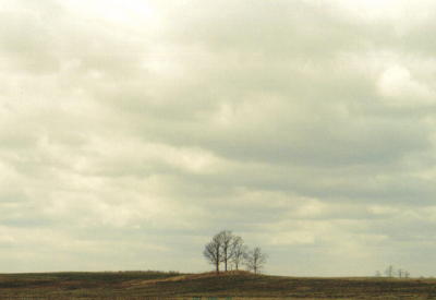 �Ⴊ�Ȃ��Ȃ�͔̂߂����ł�