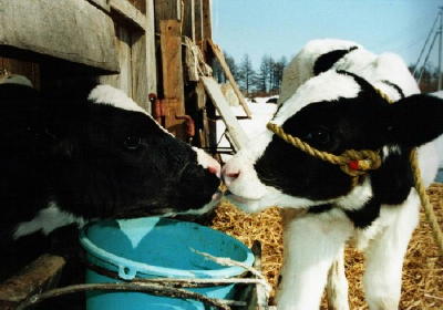 ��������́u�����v�������邱�Ƃ��ł��܂���